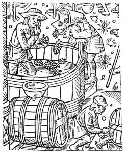 Ooit waren Leuven en Hoegaarden bekend om hun wijn. Bron: Calendrier des Bergers, Troyes 1529